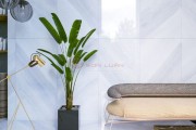 Gạch Ốp Lát APODIO 61285054